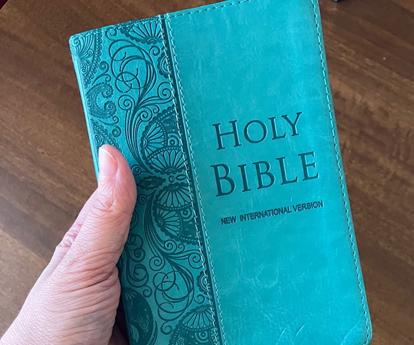 Englische Bibel in der Hand